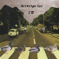 Miss Lonely - Salvatge Cor