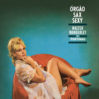 Mulata Assanhada - Walter Wanderley