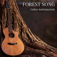 Sunset Harmony - Guitar Instrumentals