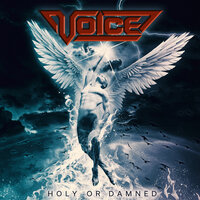 Schizo Dialogues - Voice