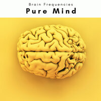 Mind Exercise Tunes for Deep Zen - Solfeggio Frequencies 528Hz