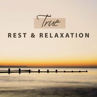 Good Feeling Inside (Calming Ocean) - Spiritual Healing Consort