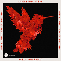 Flying High - Jaybee & Anthony Kasper
