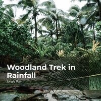 Rain on Dense Trees - Nature and Rain & Deep Rain Sampling & Jungle Rain