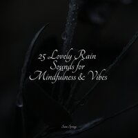 Rain in the Jungle - Rain Sounds Nature Collection & Restless Baby Music & Yoga Workout Music