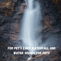 Cracking Thunder - Cat Music & Dogs music & Relaxing Spa Music