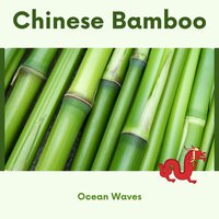 Lotus Emerging on the Surface of Water - Ambient 11 & Serenity Calls & Chinese Ambient