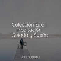 Olas Serenas - Relajante Musica & Música Zen Relaxante & Sonido de lluvia
