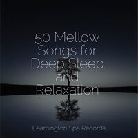 Sounds of the Ocean - Pink Noise & Deep Sleep Brown Noise & Tranquility Spa Universe