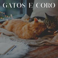 Companheiro Felino - Música para gatos