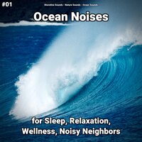Ocean Noises Part 48 - shoreline sounds & Nature Sounds & Ocean Sounds