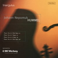 Piano Trio in G Major, Op. 35: I. Allegro con brio - Trian3ulus & Иоган Непомук Гуммель