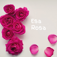 Esa Rosa - Felipe Rodriguez