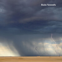 Summer Showers and Thunderstorms, Pt. 8 - Weather and Nature Recordings & The Outdoor Library & Rain Sounds & Nature Sounds