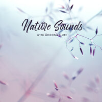 Journey to Divinity - Flute Music Ensemble & Mindfulness Mind Body Space