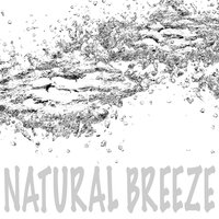 Soothing Summer Sounds - Nature Sounds