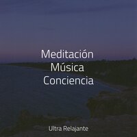 En Sintonía Contigo - meditación Interna & Musica Para Dormir Bebes & Hipnose Natureza Sons Coleção