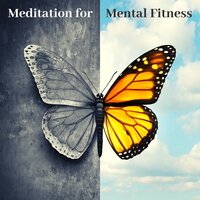 High Concentration - New Age Anti Stress Universe