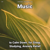 Relaxing Music Pt. 45 - Sleeping Music & Relaxing music & Yoga