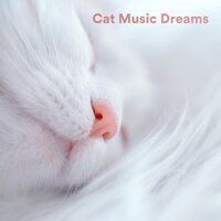 Eternal Solstice - Music For Cats & Cat Music & Calm Music for Cats