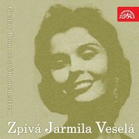 Co je víc nežli láska - Jarmila Veselá