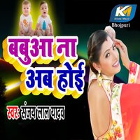 Babua Na Ab Hoi - Sanjay Lal Yadav