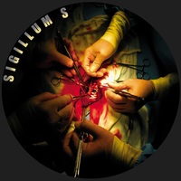 Extensive Fallout to the Ground Via Thermic Obsolescence - Sigillum S