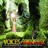 Ancient Voices - See New Project
