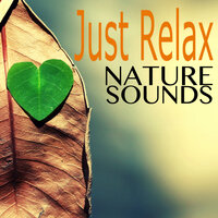 Relaxation Naturescapes - Lullabies for Babies Orchestra