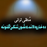Toro Shpo Ki Mi Jwandon Dai - Muttaqi Tarani