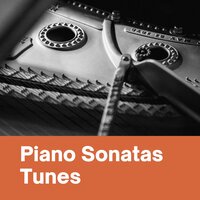 Piano Sonata No. 2 In A Major, Op. 2 No. 2 : II. Largo Appassionato - Artur Schnabel & Ludwig van Beethoven