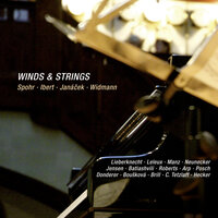 Widmann: 24 Duos, Book 2: No. 4, Choral - Marie-Elisabeth Hecker & Christian Tetzlaff