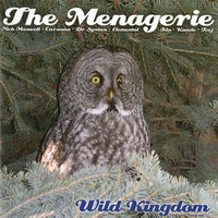 Concept & Styles - The Menagerie & Tom Caruana & Dr.Syntax & Professor Elemental & Elemental & Nick Maxwell