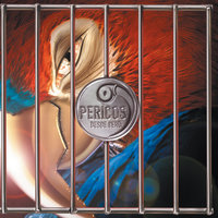 Bajo La Lluvia - Los Pericos