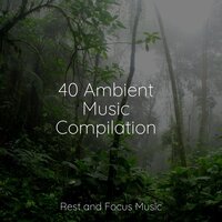 Sanctuary of Sleep - Classical Study Music & Healing Sounds for Deep Sleep and Relaxation & Pet Care Music Therapy