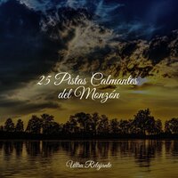 Descansa Tranquilo - Escola de Meditação & Naturaleza & Música para Relajarse Profundamente