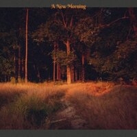 Blue Bay - Jommes Tatze & Julia Klose