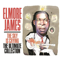 You Know You're Wrong - Elmore James
