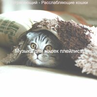 Звуки (Расслабляющие кошки) - Музыка для кошек