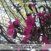 Hogar - Carlos Barrio y Lipperheide