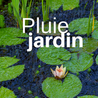 Eaux calmes - Jardinage Enfant