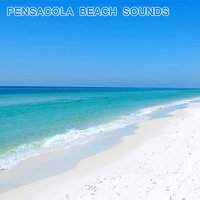 Ambience of Pensacola Beach - National Geographic Nature Sounds & Nature Sounds New Age & Pensacola Beach Sounds & National Geographic Soundscapes & White Noise Sounds For Sleep & White Noise Ambience