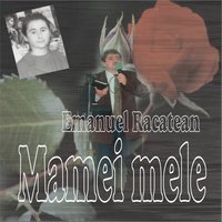 O casa mica - Emanuel Răcătean