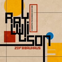 Wait for Better Days - Ray Wilson