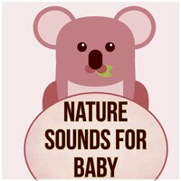 Sounds for Pregnant Women - Sweet Baby Lullaby World