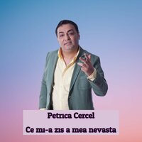 Ce mi-a zis a mea nevasta - Petrica Cercel
