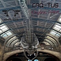 Organic Moment - Caq-Tus