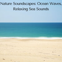 Ocean Sounds of Nature - Ocean Sounds FX & Sounds of Nature Noise & Ocean Waves