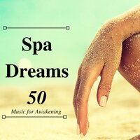 Science of Sleep - Springy Sensations & Buddha Zen Spa & Buddha Zen Spa & Springy Sensations