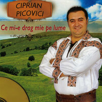 Mandrulita Stau Sa Mor - Ciprian Picovici